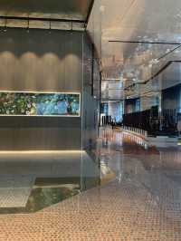 제주 5성급 호텔 ‘그랜드 하얏트 제주’⭐️🫧