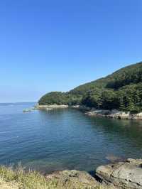 그림같은 풍경을 볼 수 있는 바람의 언덕💨🏝️