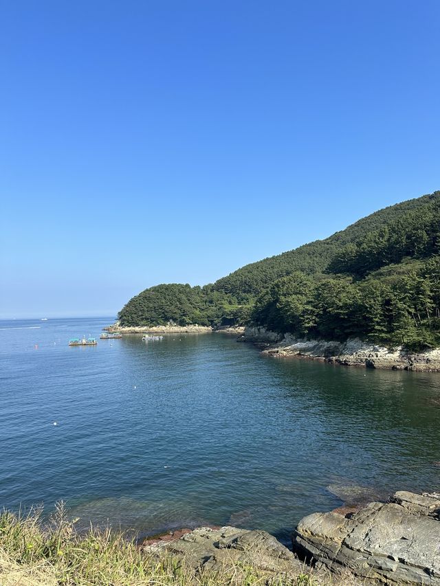 그림같은 풍경을 볼 수 있는 바람의 언덕💨🏝️