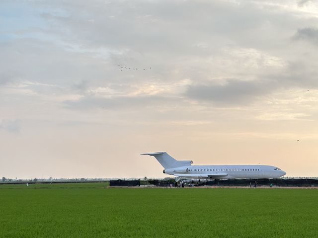 an Aeroplane in the middle of Paddy field