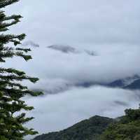 Get New Zealand view in Malaysia 🇲🇾
