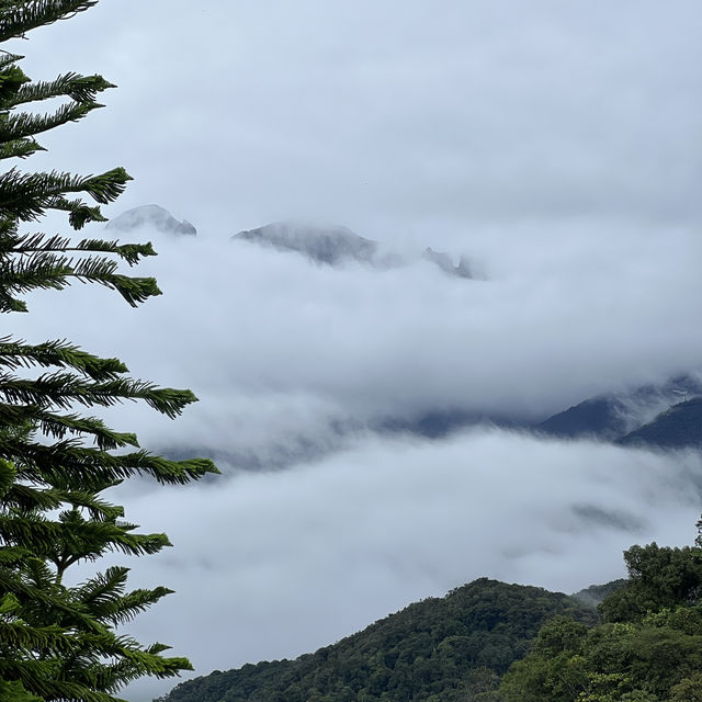 Get New Zealand view in Malaysia 🇲🇾