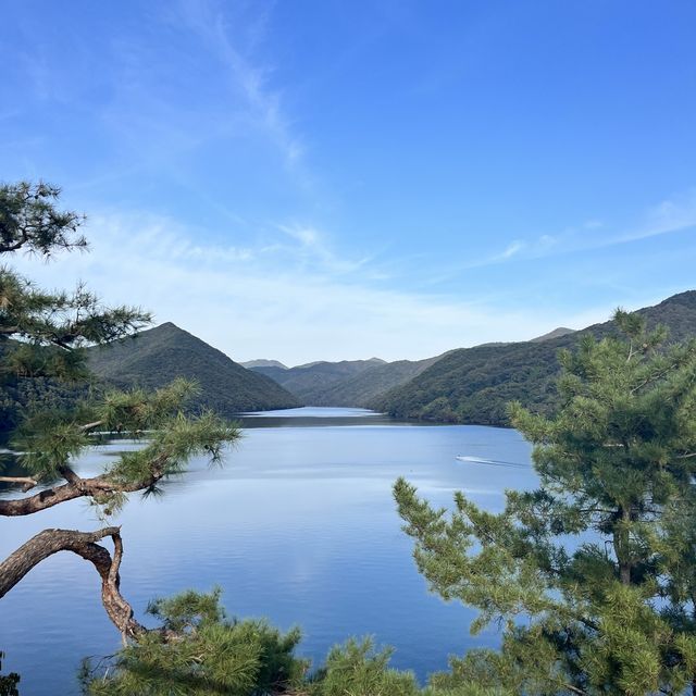 중세 유럽같은 옥천수생식물학습원