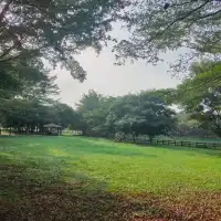 優美湖景-八掌溪親水公園
