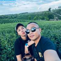 ไร่ชาฉุยฟง 🍃🌱🌿🍃