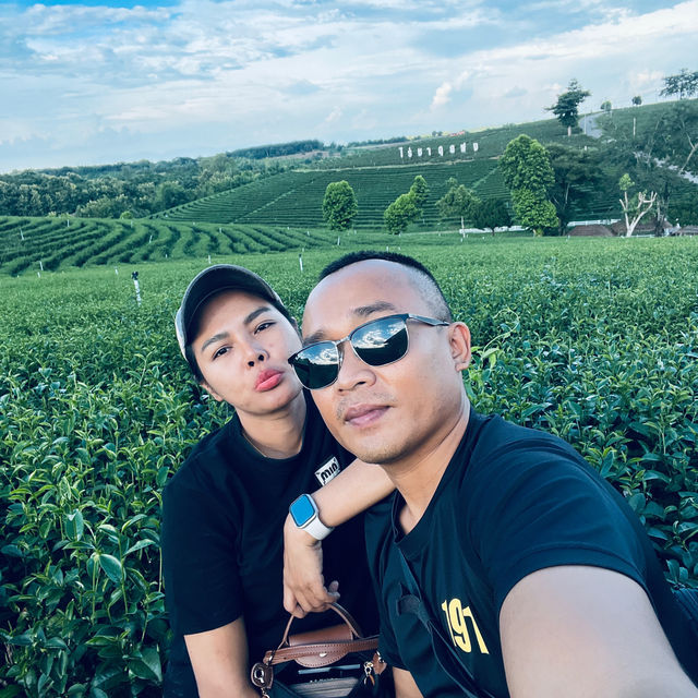 ไร่ชาฉุยฟง 🍃🌱🌿🍃