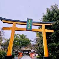 【京都府】桜の名所　平野神社