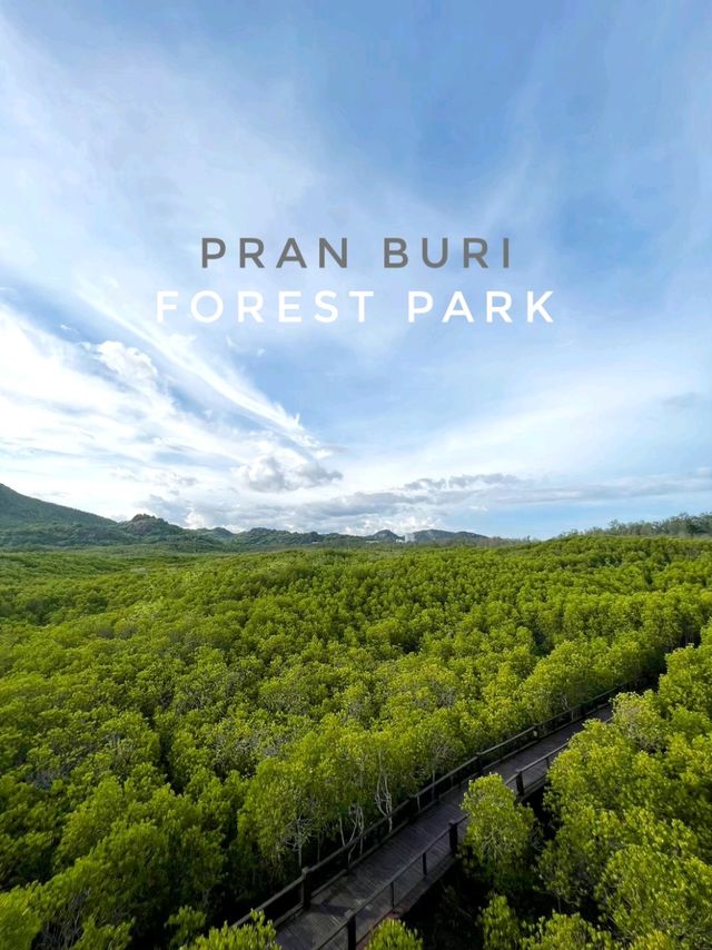 วนอุทยาน​ปราณบุรี​ แนบชิดธรรมชาติ​