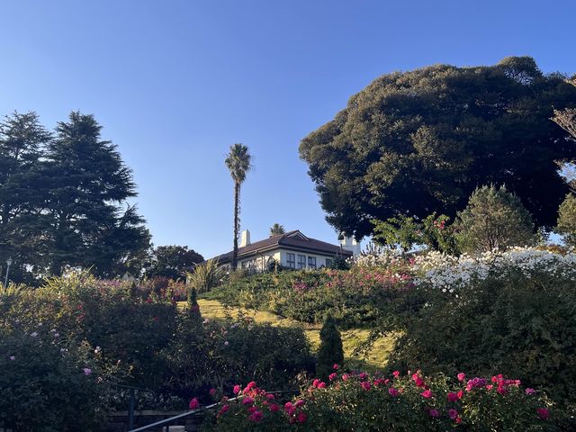 港の見える丘公園 ＠横浜⛲️