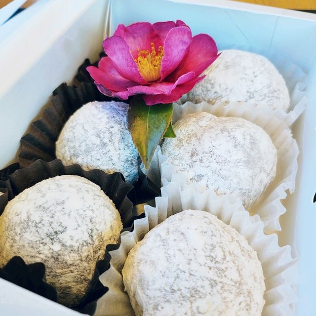 여수해상케이블카를 타고 동백꽃 가득한 카페보니또로 ☕️ 
