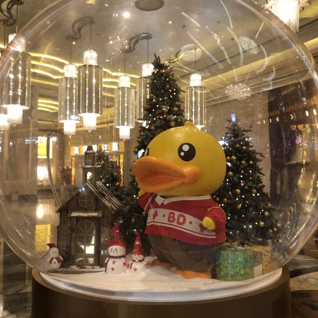 B Duck 打卡在澳門新濠影匯