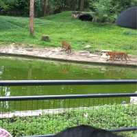 ZOO TAIPING 