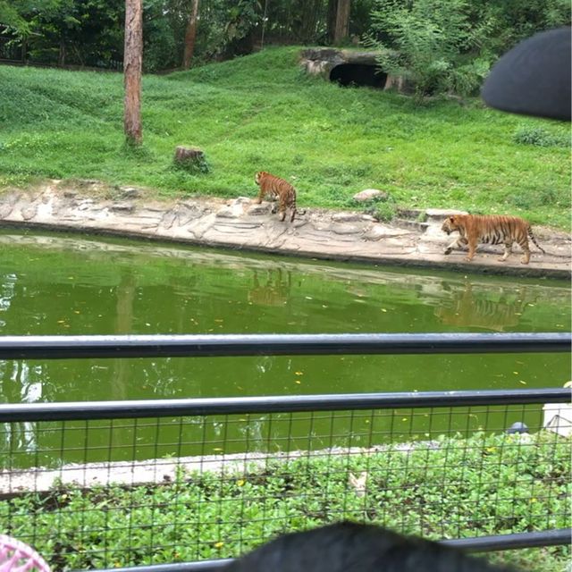 ZOO TAIPING 