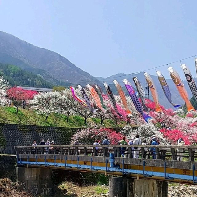 花桃の里