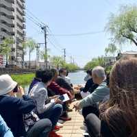 乘搭日式遊船，遊覧著名水鄉-柳川