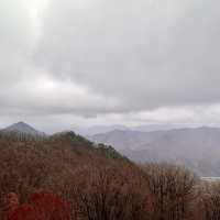 Lovely Autumn escape from busy Seoul !! 