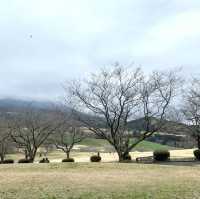 高千穗牧場-必去親子景點，讓小孩子近距離接觸小動物