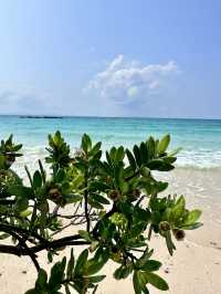 หาดนวล หาดสวย เงียบสงบ เกาะล้าน