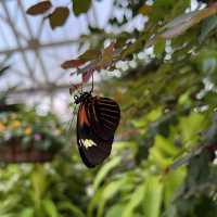 Nature in the park to fascinate yourself