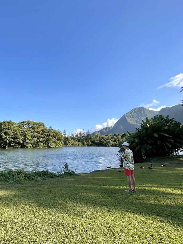 하와이 최대 수목원 호오말루히아 보태니컬 가든🌳🍃
