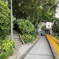 Montanha Russa Park Nature 