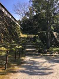 日本12座現存天守的城堡之一四國宇和島城
