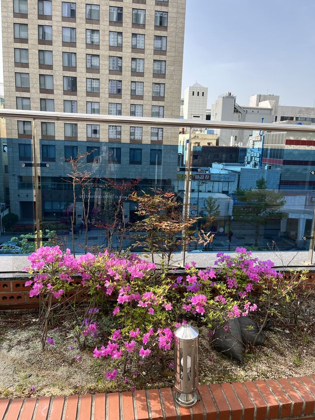 【釜山ホテル】BIFF広場近くの立地抜群ホテル🏨
