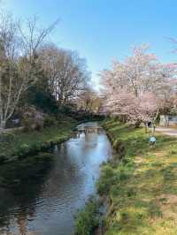 Oshino Hakkai Village