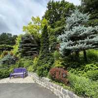 The Garden of Morning Calm