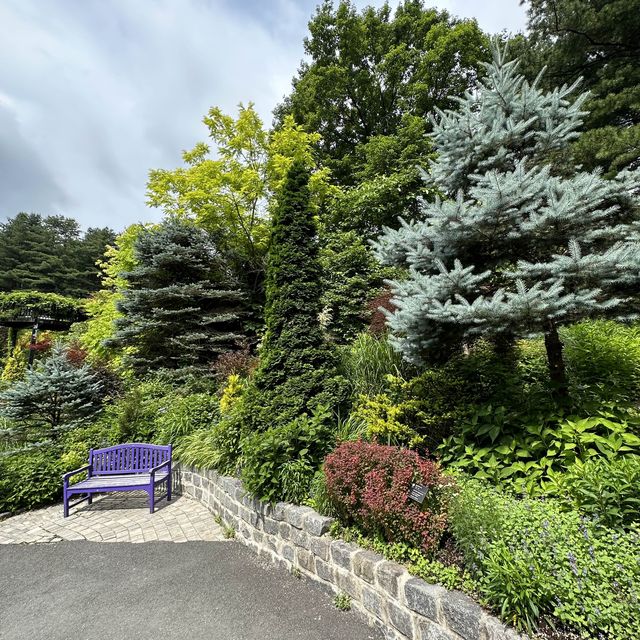 The Garden of Morning Calm