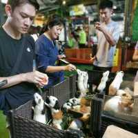 Fun Day in Borneo Happy Farm