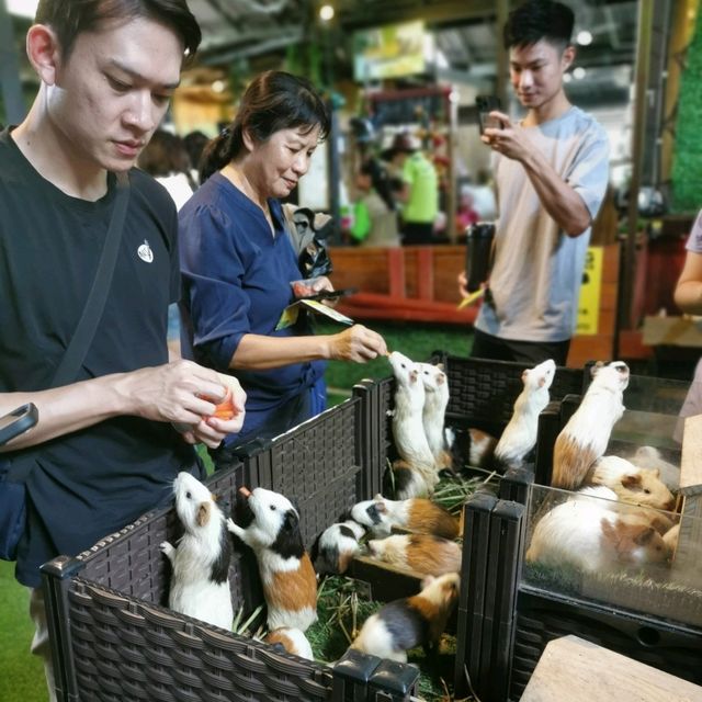 Fun Day in Borneo Happy Farm