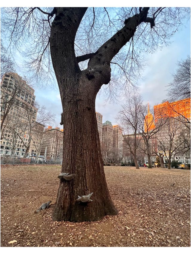 More Time to Spare, Come to Madison Square! 