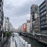 大阪京都5日4夜