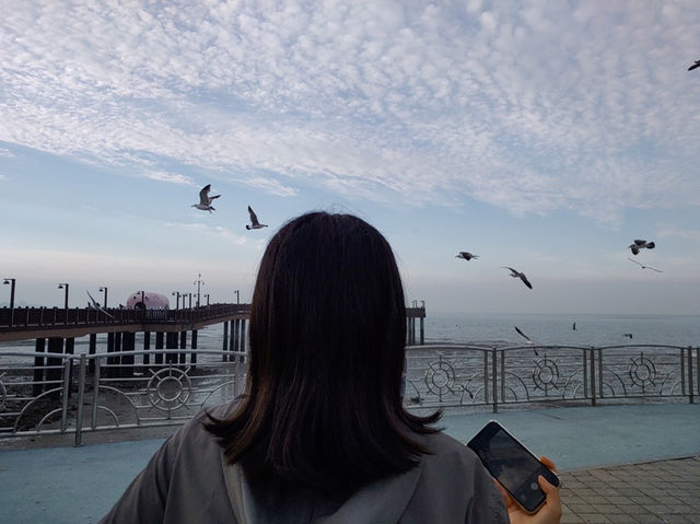 서울근교 바다를 볼 수 있는 곳, 당진 삽교호