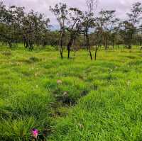  อุทยานแห่งชาติป่าหินงาม