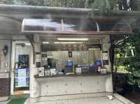 東京・北区。バラの季節には多くの品種の花が咲き誇るそうです『旧古河庭園』