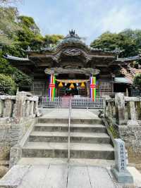 【静岡県/伊古奈比咩命神社】伊豆最古の神社と白浜海岸