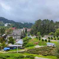 Cameron highlands - heads in the cloud