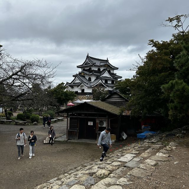 the beauty of himeji castle 🏰 