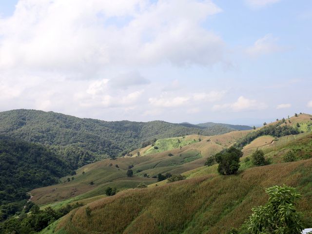 ไร่ลุงลอน : 𝐜𝐚𝐦𝐩𝐢𝐧𝐠 𝐢𝐬 𝐥𝐢𝐟𝐞 จ.แพร่⛰️