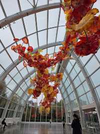 Chihuly Garden and Glass