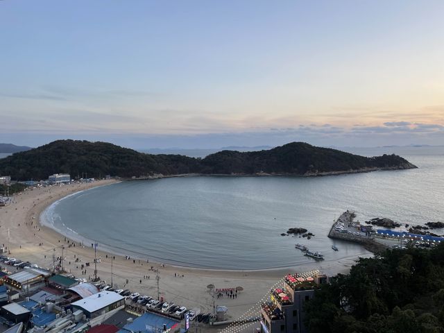 인천 애견동반 리조트 “더위크앤리조트”