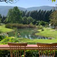 🌳 Bucolic Khaoyai 🌳