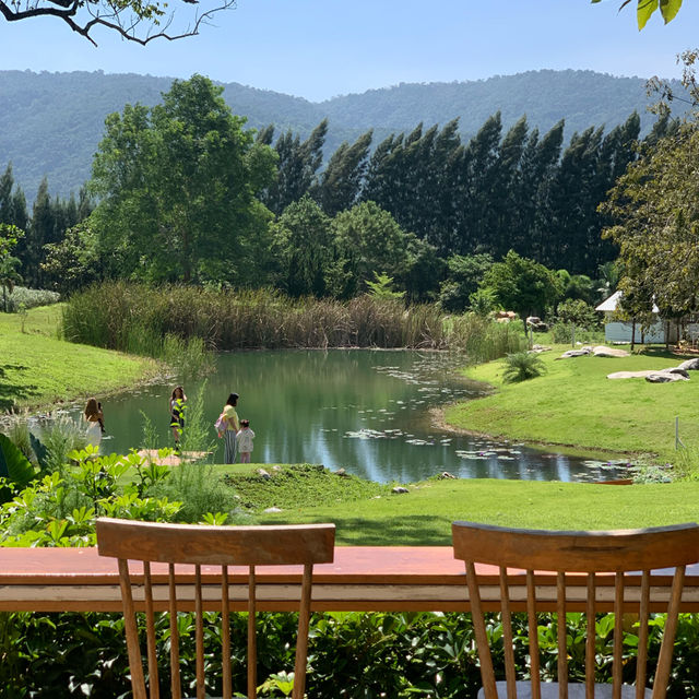 🌳 Bucolic Khaoyai 🌳