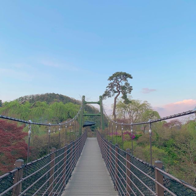 산책 하고 싶을 땐 아침고요수목원! 