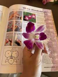 호캉스하면서 꽃팔찌 만들기🌺
