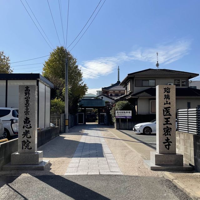 【福岡】筥崎宮参拝の際に