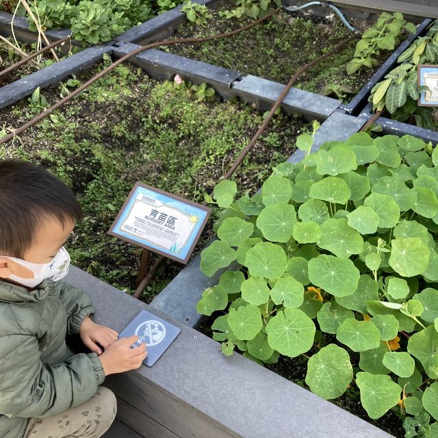 《🍆🫑🎃巨型蔬果主題兒童遊樂場～歷奇公園》
