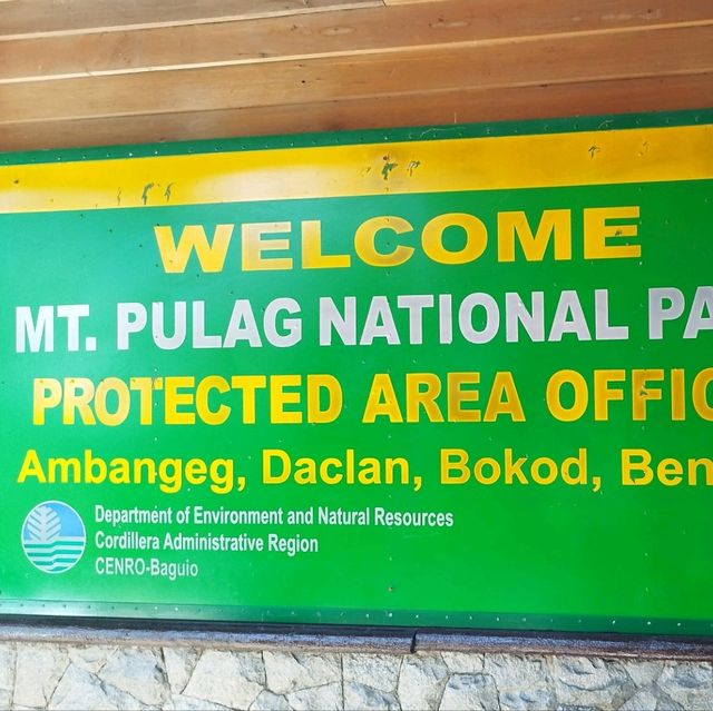 Survived Mt.Pulag 